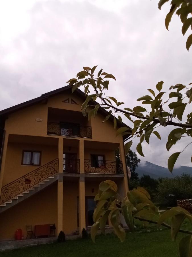 Готель Casa Dana Борша Екстер'єр фото