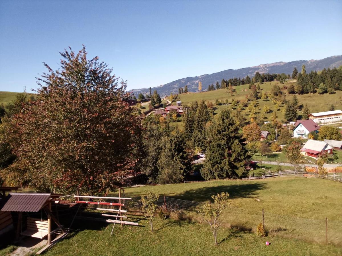 Готель Casa Dana Борша Екстер'єр фото